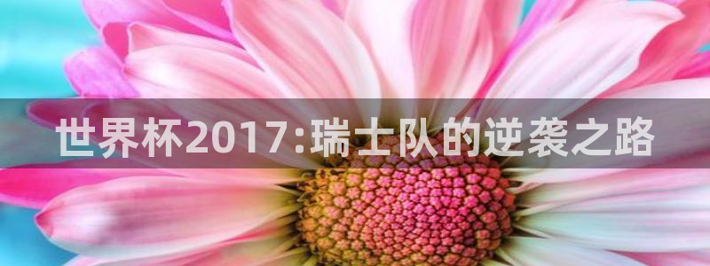 足球世界杯:世界杯2017:瑞士队的逆袭之路