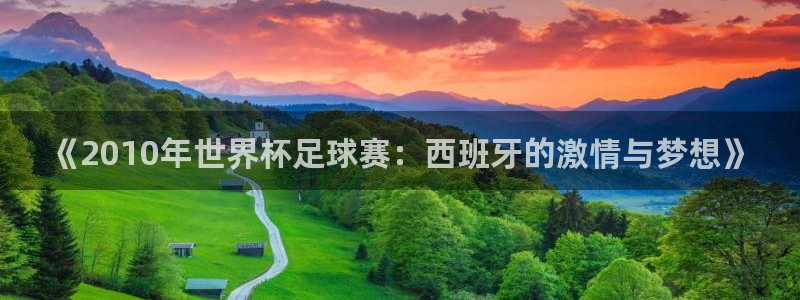 世界杯预选赛欧洲:《2010年世界杯足球赛:西班牙的激情与梦想》
