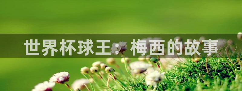 世界杯预选赛欧洲:世界杯球王:梅西的故事