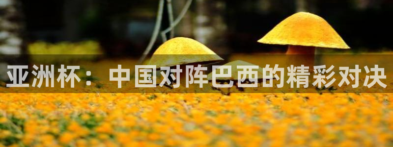 世界杯预选赛2026:亚洲杯:中国对阵巴西的精彩对决