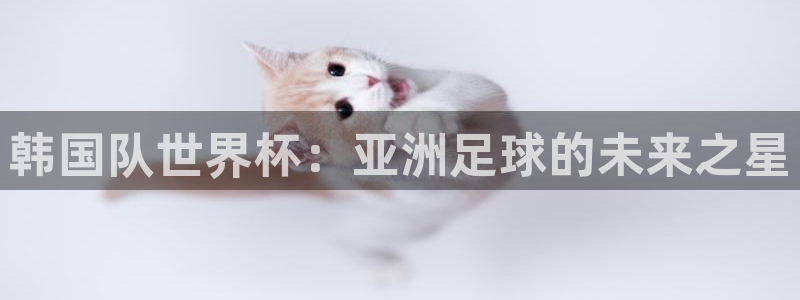 世界杯今年:韩国队世界杯:亚洲足球的未来之星