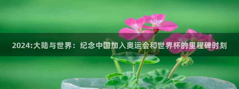 2026世界杯德国队阵容:2024:大陆与世界:纪念中国加入奥运会和世界杯的里程碑时刻